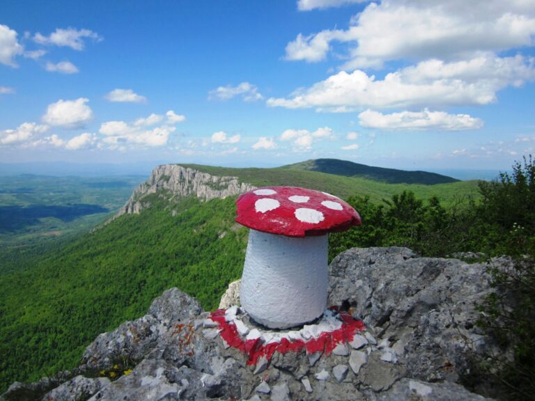 Tupižnica – divlja lepotica