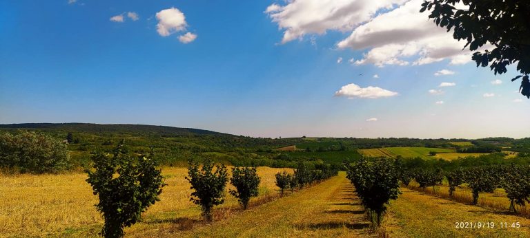 Fruška gora Slavicinim tempom