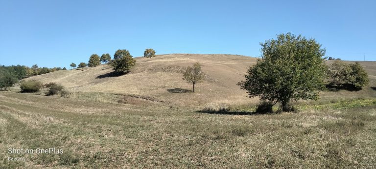 Manastirska transverzala