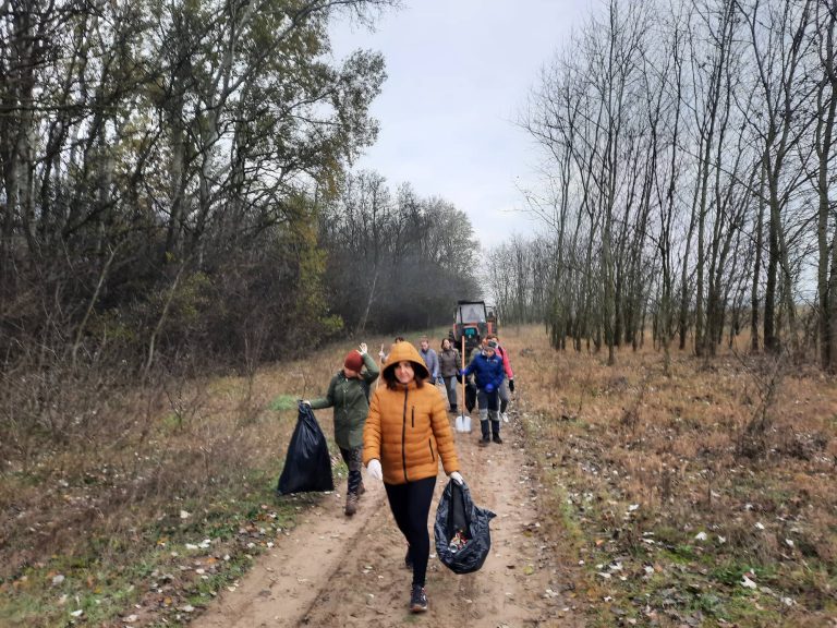 Uređenje i čišćenje Subotičkih šuma, 3. deo
